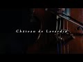 Mesmerizing cello song  walter chteau de lavardin