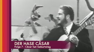 Hase Cäsar (Extrafolge) – Cäsar hat Geburtstag