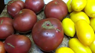 Лучшие томаты - новинки прошлого сезона. Дегустация и обзор 12 сортов томатов. Очень подробно.