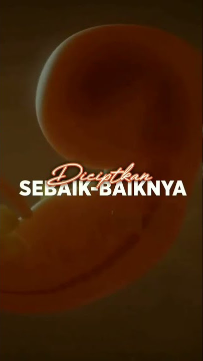 Diciptakan Sebaik-baiknya - @ig.kahfi #alquran #sunnah #shorts