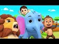Going To The Zoo | Nursery Rhymes & Kids Songs | Zoo Song | Baby Rhyme