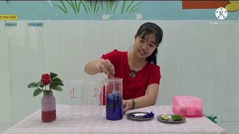 Sự đổi màu của hoa đậu biếc  - Độ tuổi 5 - 6 tuổi