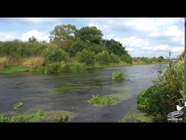 Die Wümme | Rotenburg bis Unterstedter Wehr | panta rhei – alles im Fluss