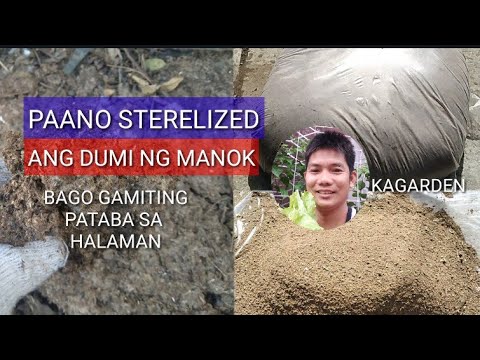 Video: Paano ginagamit ang dumi bilang pataba?