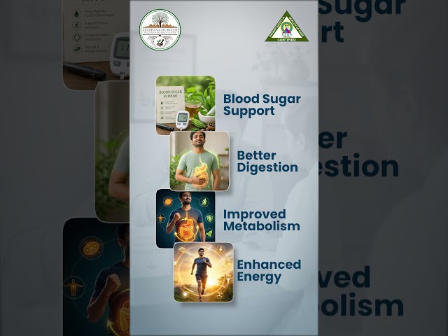 Diabetes Care with Ayurveda | Natural Blood Sugar Support | Aradhana Ayurveda Bhainsa