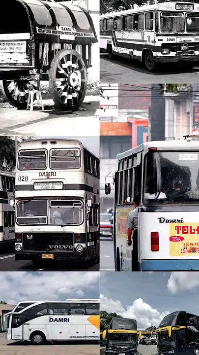 Sejarah Angkutan Bus Damri