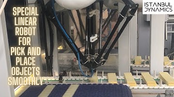 Special linear robot pick and place objects smoothly
