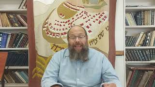 כשרות כ"ה, י'-י"א - כלי פרווה, טעויות ותקלות | הפנינה היומית