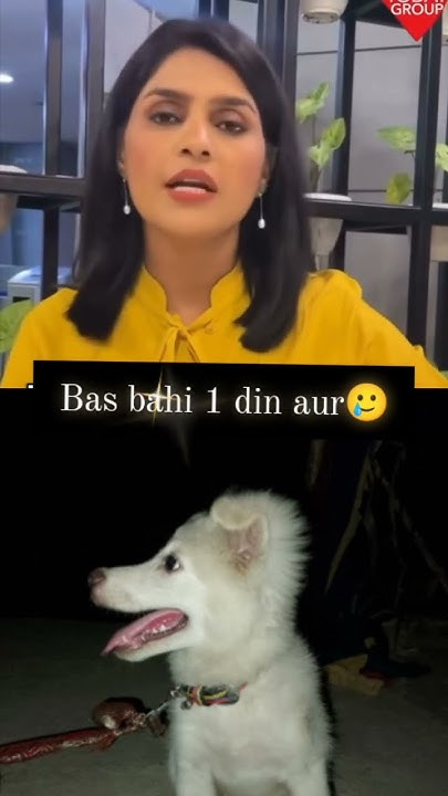 Bas Ek Din Aur Uske Baad Cutthi explore pomranian cuteanimals bas-ek-din-aur-uske-baad-cutthi-explore-pomranian-cuteanimals