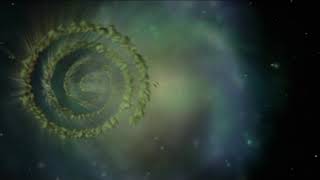 The Irish Film Board 2004