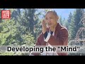 A few thoughts on "Developing the Mind" in the Shaolin Practices