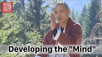 A few thoughts on "Developing the Mind" in the Shaolin Practices