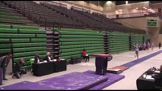 Taylor Templin - 2021 L10 States - Vault - 9.175