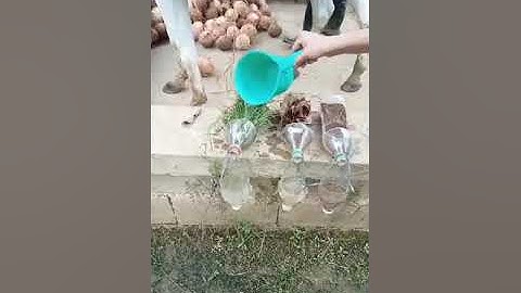 RAINFALL SIMULATOR. SOIL SCIENCE 2