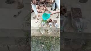 RAINFALL SIMULATOR. SOIL SCIENCE 2