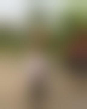 GOYANG BOKONG MONTOK OMANG DI TIK TOK