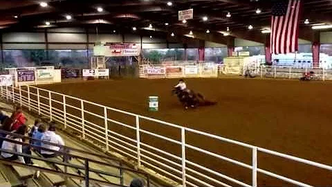 Neeley Ray-Recall- lucky dog