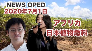 【アフリカに農協を！日本植物燃料の取り組み】オプエド　浅野有香　合田真　尾立愛子　平林壮郎