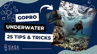 Gopro underwater 25 Tips and Tricks 2023