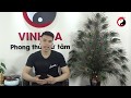 Tử Vi Hàng Ngày 28/3/2020 - Chỉ Mặt 3 Con GIÁP tiền bạc đầy tay nhờ vận may TRÚNG LỚN