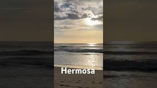 Hermosa Beach Waves #shorts