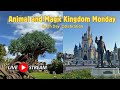  live   earth day magic kingdom monday   walt disney world  4222024