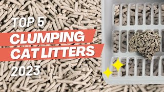 Top 5 BEST Clumping Cat Litter Brands (2023)