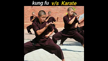 Kung fu vs Karate Comparison in Hindi #Shorts #Short
