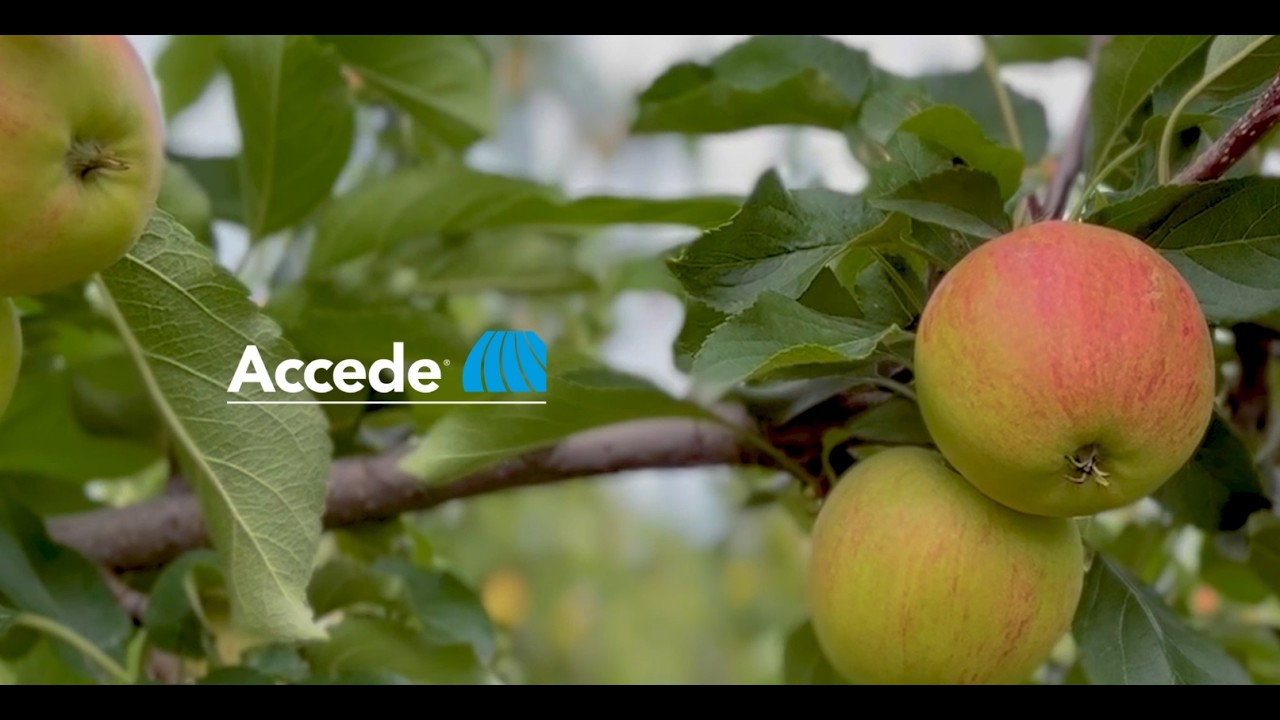 From the Field with Ian Parker