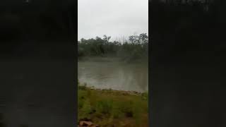 Yeşil Yollar #travel