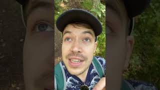 A Travellin’ Guide To: Faskally Forest, Cairngorms, Scotland 🌲🦋🏴󠁧󠁢󠁳󠁣󠁴󠁿