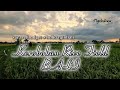Peaceful Virtual Walk in Kerobokan, Bali | Local Homes, Rice Paddies to Tana Cafe (No Talking)