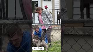 Video thumbnail of "Warning 🩸🩸Cat vs 2 pit bulls"