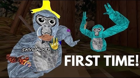 Teaching my LITTLE COUSIN how to play GORILLA TAG! (HIS FIRST TIME ) #noob #gorillatag #subscribe