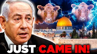 Netanyahu JUST REVEALED Who will Sacrifice The Red Heifer!