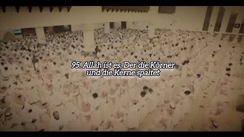 Surah Al-An'am 95-103 deutsch emotional #quran #luhaidan #fy سورة الأنعام محمد اللحيدان