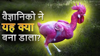 12 जानवर जिन्हे इंसानों ने बनाया | 12 Janwar Jinhe Scientist Ne Banaya | Secret Sach