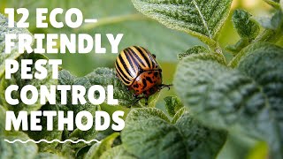 12 Eco friendly Pest Control Methods screenshot 4