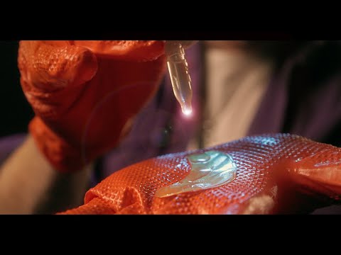(ASMR) Ear Cleaning