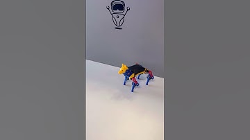 Meet Petoi Bittle X - the newest robot to join our STEM Studio!!