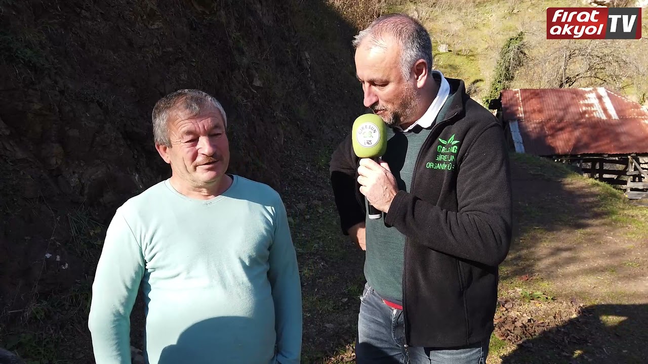 Espiye İlçesine Bağlı Akkaya Köyünü Ziyaret Ettik.