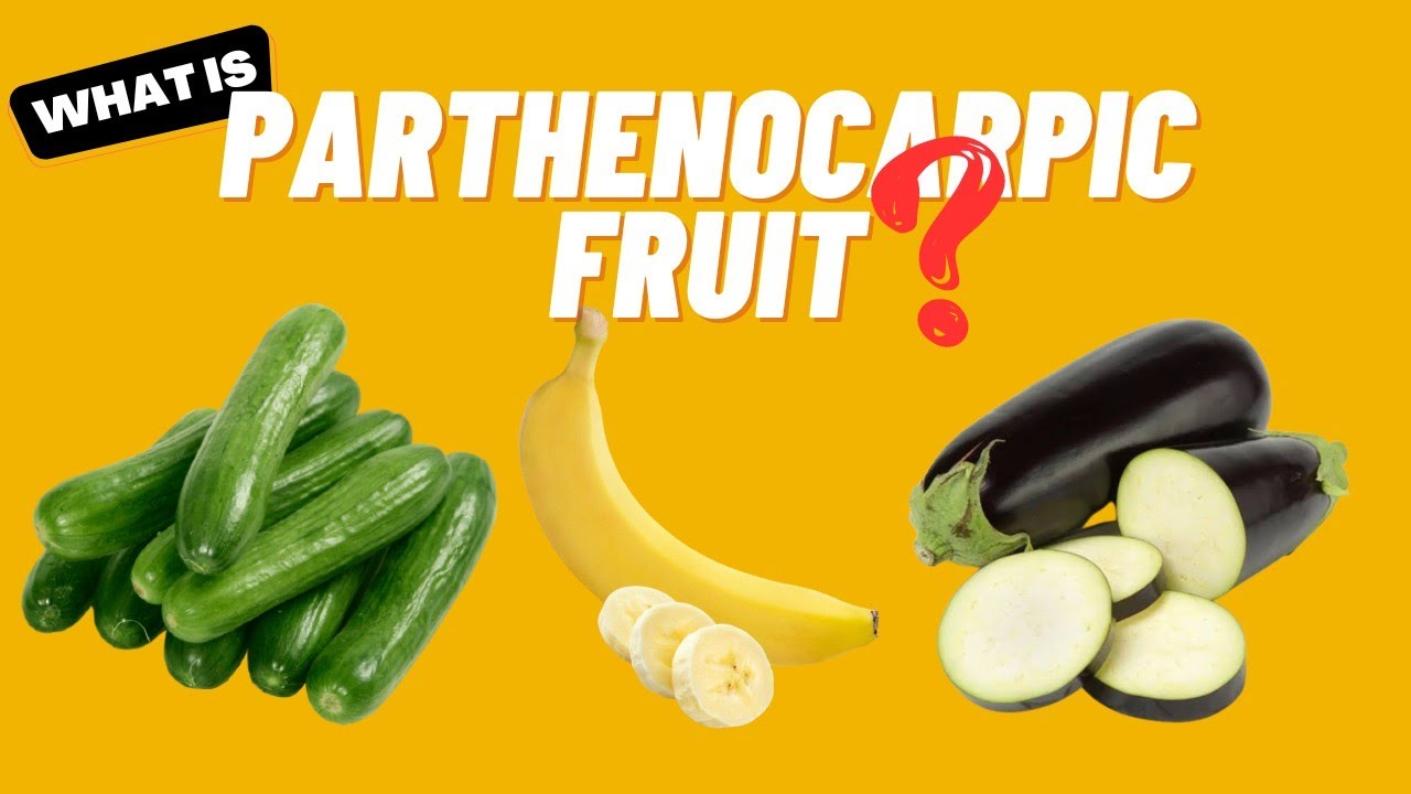 What Is Parthenocarpic Fruit? YouTube