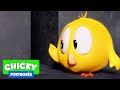 Onde está Chicky? 2020 | LABIRINTO | Desenhos Animados Infantil