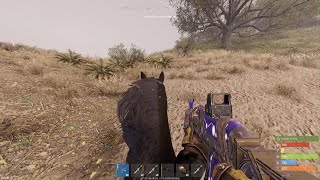 RUST OFFICIAL EASY COUNTER RAID