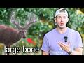 I FOUND GIANT VELVET BUCKS I FOUND GIANT VELVET BUCKS