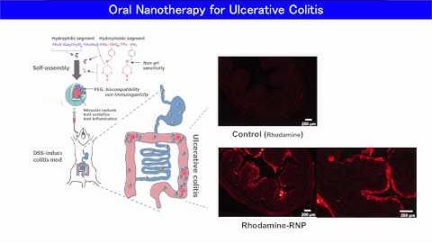 An Orally Administered Redox Nanoparticle That Accumulates in the Colonic...