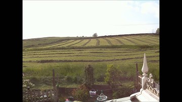 Raspberry Pi timelapse of my back garden