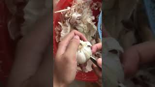How to Do The Viral GARLIC PEELING Trick - using a knife to pluck out cloves of garlic