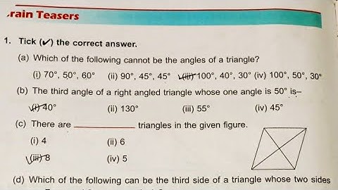 Dav Class 5 Math Unit 16 Brain Teasers  || Triangles || Properties Of Triangle ||