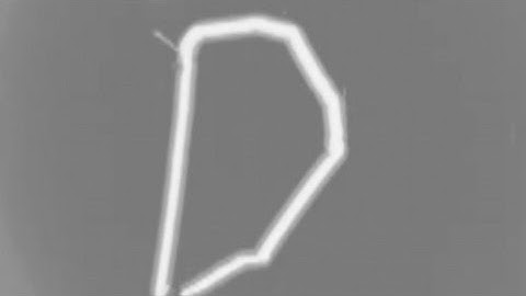 짚신벌레처럼 섬모로 움직이는 마이크로 로봇 개발 / YTN 사이언스